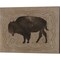 Buffalo Impression by Stellar Design Studio 15" x 12" Canvas Wall Art (Set of 2)